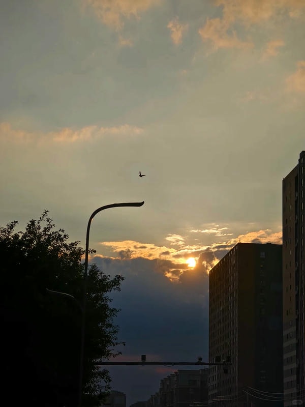 bầu trời ảnh hoàng hôn 24