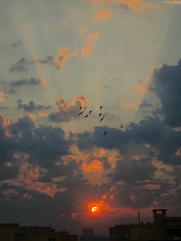 bầu trời ảnh hoàng hôn 8