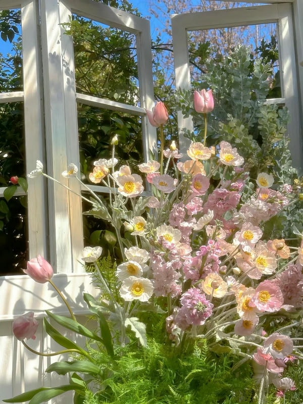 bộ sưu tập ảnh hoa đẹp 10