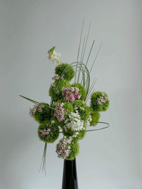 bộ sưu tập ảnh hoa đẹp 16