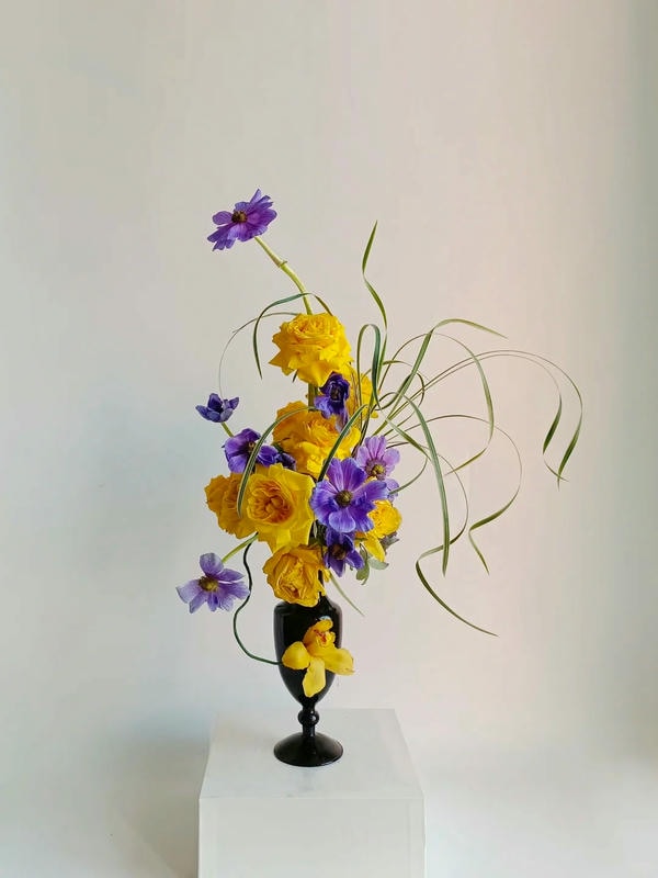 bộ sưu tập ảnh hoa đẹp 18