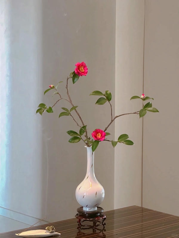 bộ sưu tập ảnh hoa đẹp 21