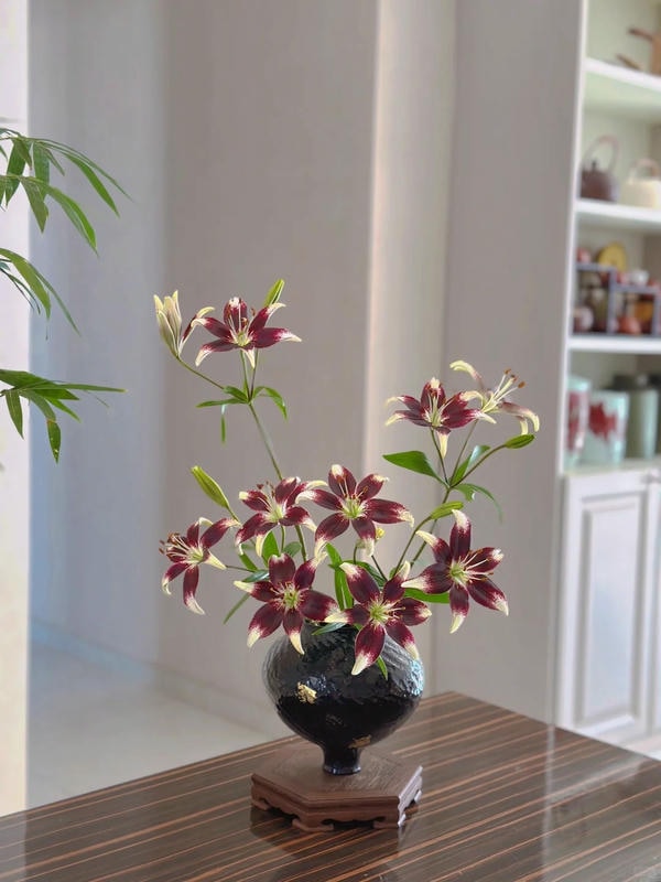 bộ sưu tập ảnh hoa đẹp 37