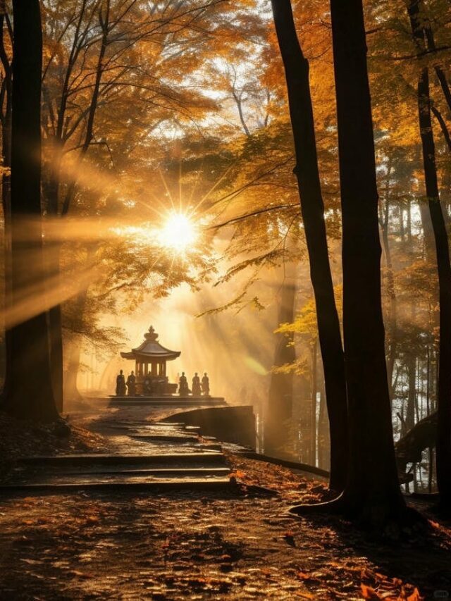 ảnh may mắn bình an 27