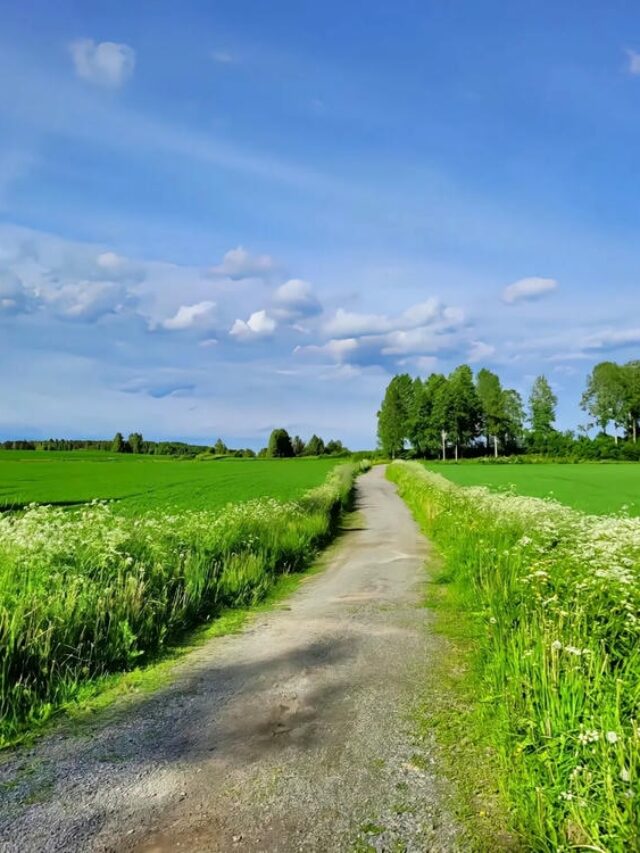 ảnh phong cảnh chill 25