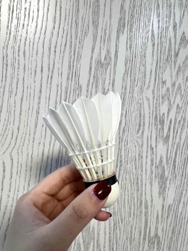 hình ảnh cầu lông đẹp nhất 26