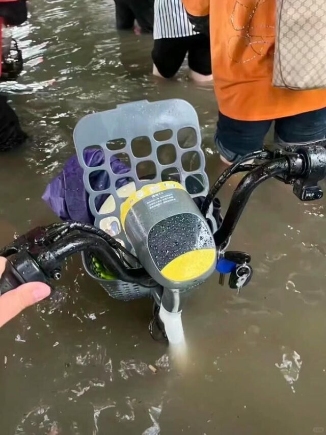 hình ảnh lũ lụt 24