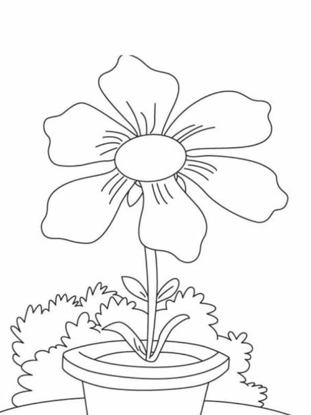 tranh tô màu bông hoa 6 cánh 16