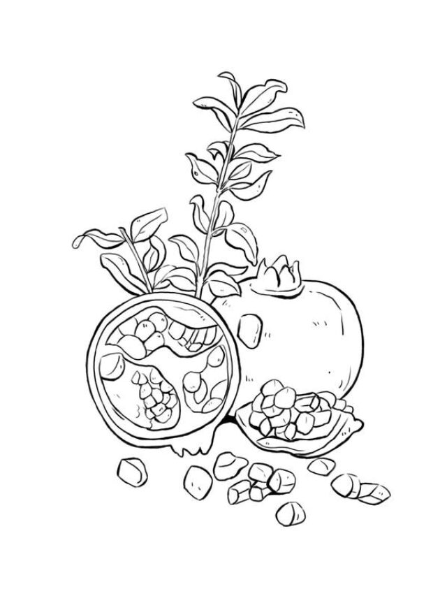 tranh tô màu các loại quả 23