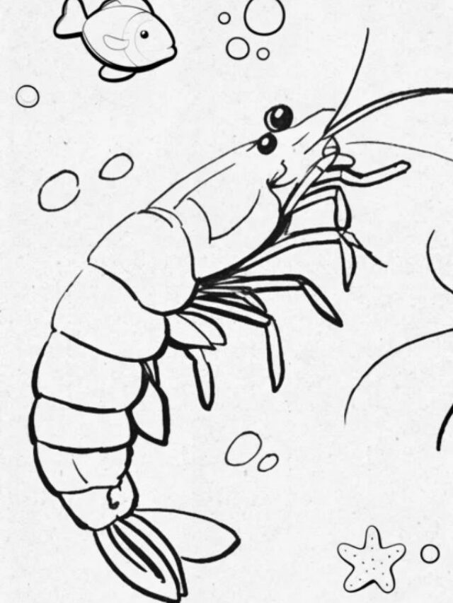 tranh tô màu con tôm 18