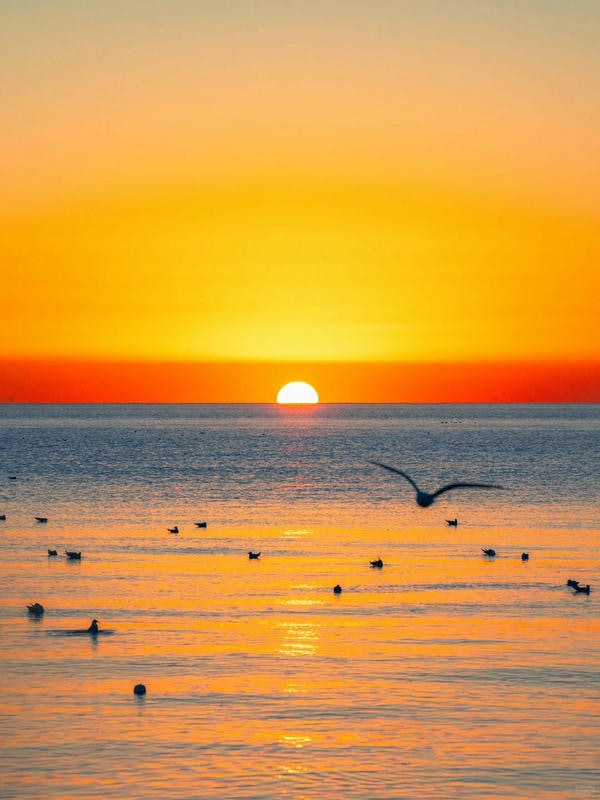 hình ảnh bình minh đẹp nhất