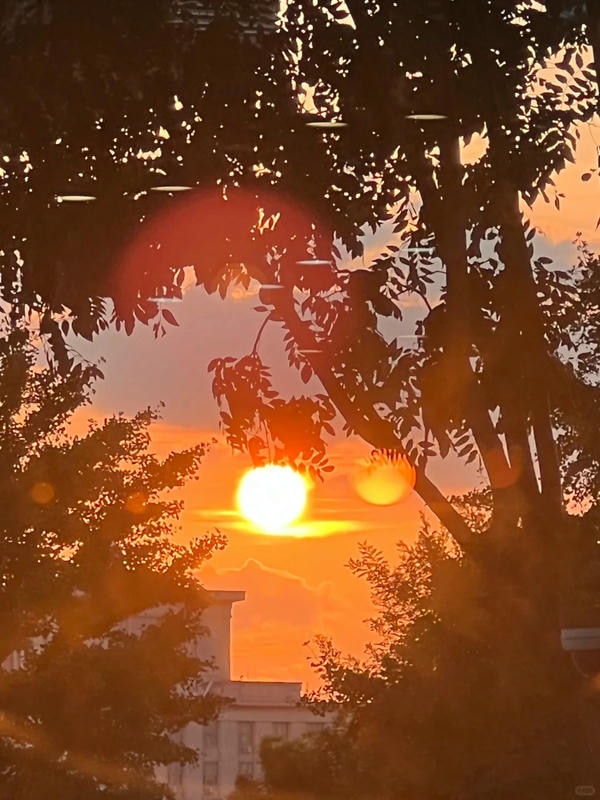 hình ảnh bình minh​ 22