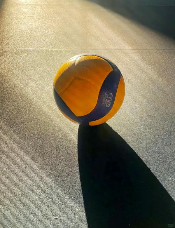 hình ảnh bóng chuyền đẹp nhất