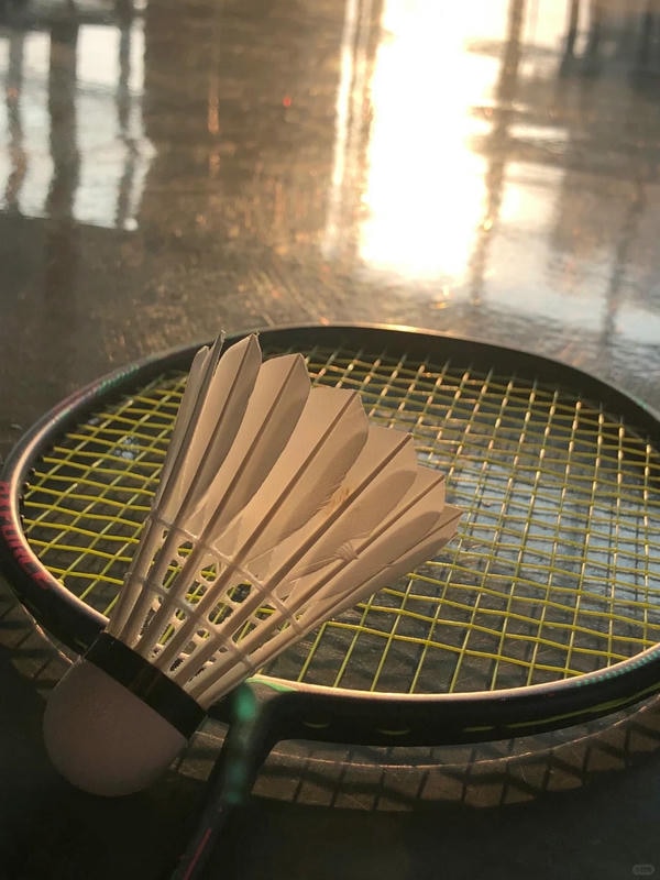 hình ảnh cầu lông đẹp nhất 1