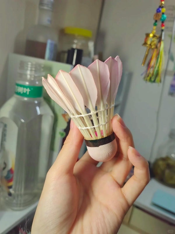 hình ảnh cầu lông đẹp nhất 12