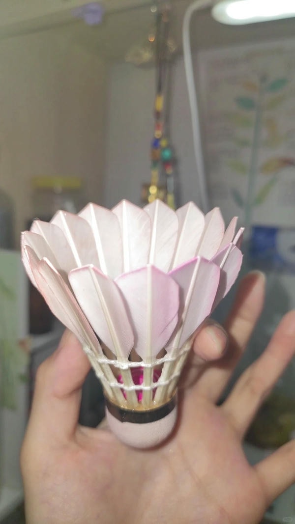 hình ảnh cầu lông đẹp nhất 13