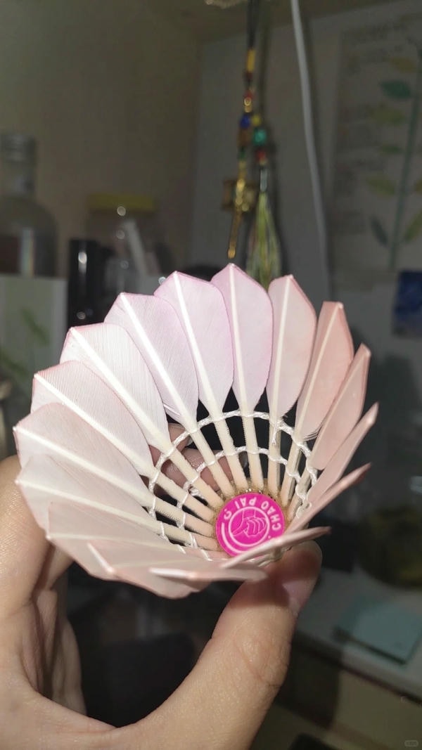 hình ảnh cầu lông đẹp nhất 14