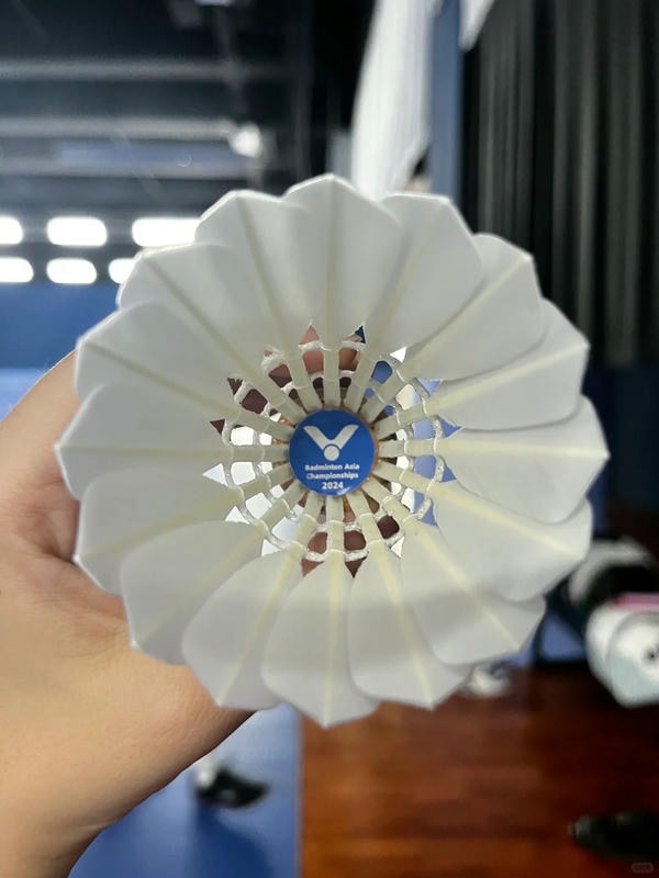 hình ảnh cầu lông đẹp nhất 15