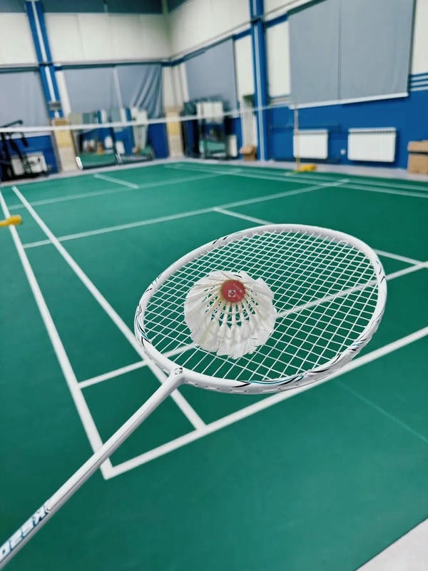 hình ảnh cầu lông đẹp nhất 17