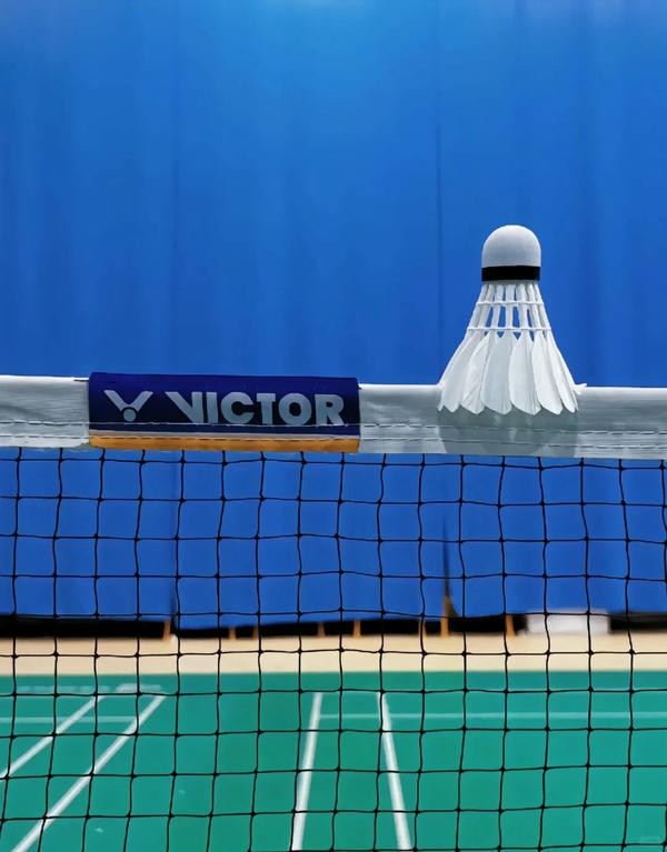 hình ảnh cầu lông đẹp nhất 19