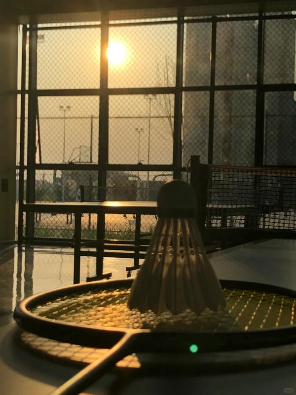 hình ảnh cầu lông đẹp nhất 2