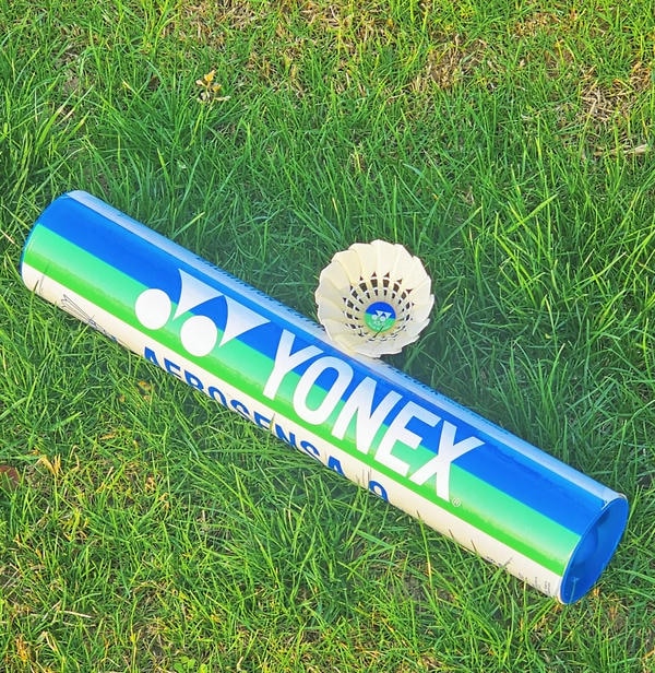 hình ảnh cầu lông đẹp nhất 21