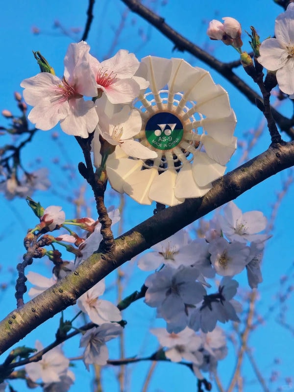 hình ảnh cầu lông đẹp nhất 23