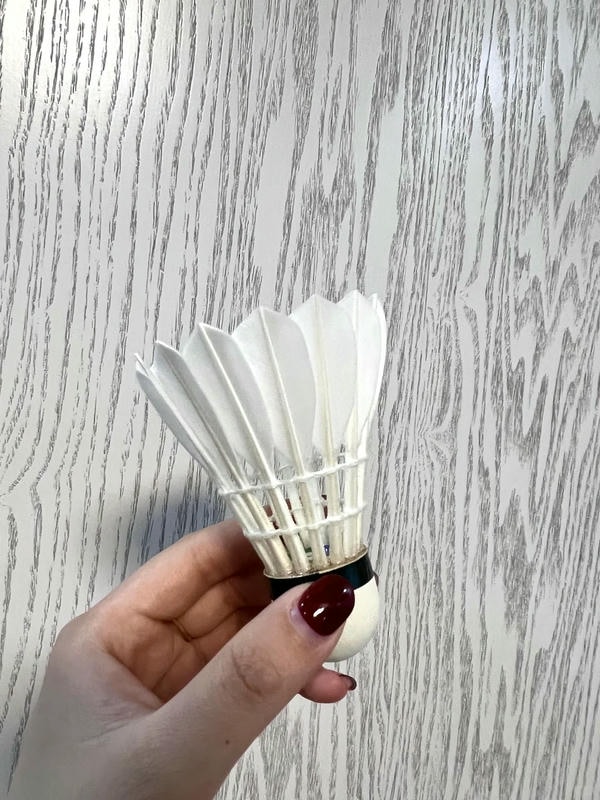 hình ảnh cầu lông đẹp nhất 26