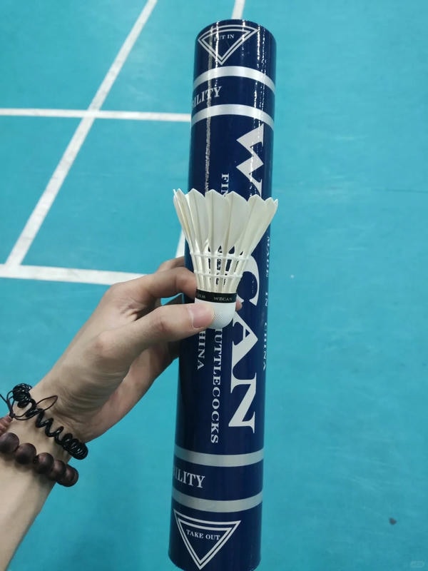 hình ảnh cầu lông đẹp nhất 28