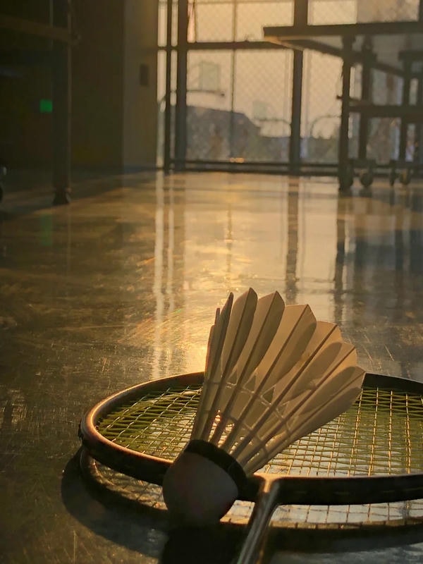 hình ảnh cầu lông đẹp nhất 3