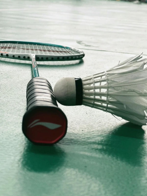 hình ảnh cầu lông đẹp nhất 5