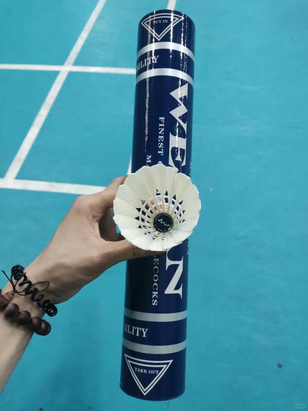 hình ảnh cầu lông đẹp nhất 9