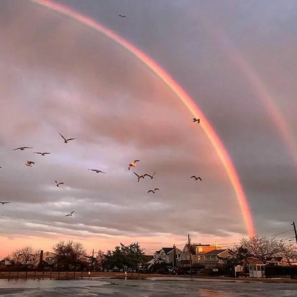 hình ảnh cầu vồng 1