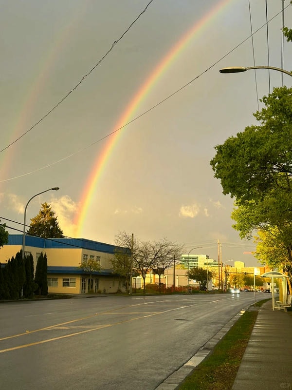 hình ảnh cầu vồng 18