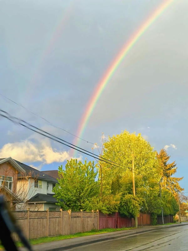 hình ảnh cầu vồng 19