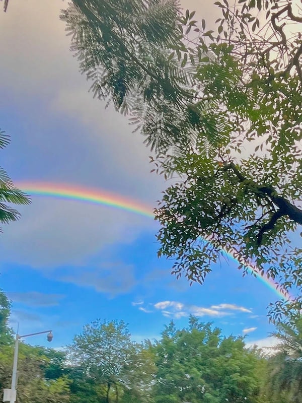 hình ảnh cầu vồng 24