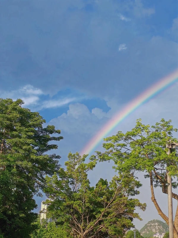 hình ảnh cầu vồng 7