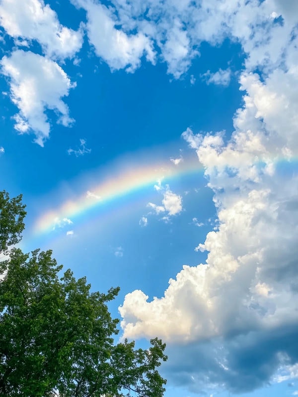 hình ảnh cầu vồng 8