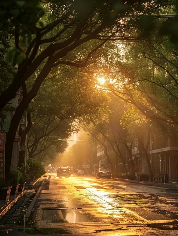 hình ảnh chill đường phố 15