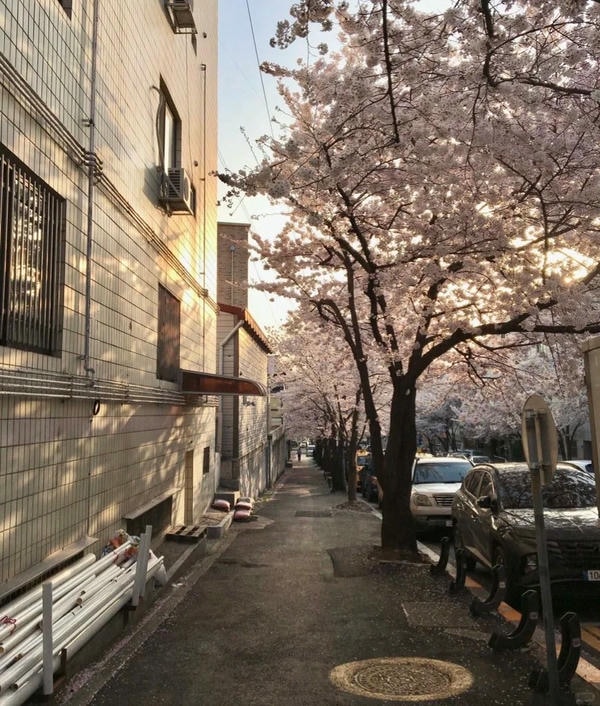 hình ảnh chill đường phố 30