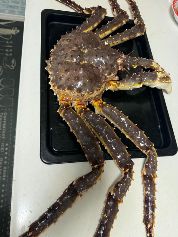 hình ảnh con cua 10