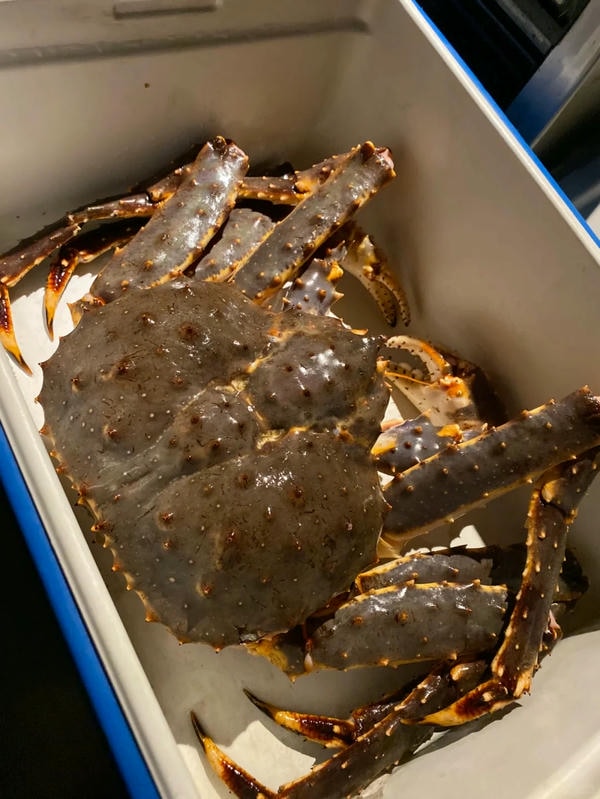 hình ảnh con cua 2