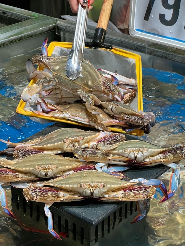 hình ảnh con cua 20