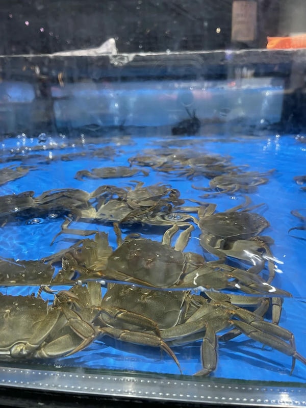 hình ảnh con cua 27