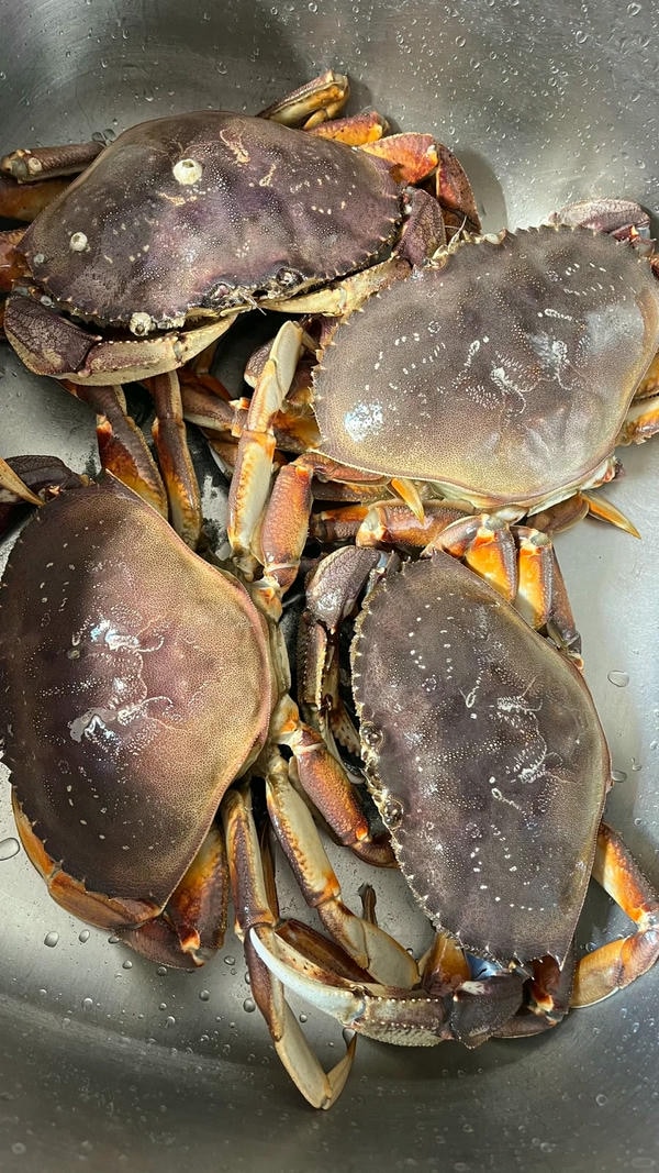 hình ảnh con cua 31