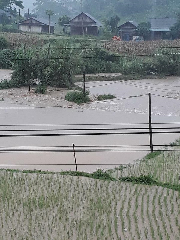 hình ảnh lũ lụt 1