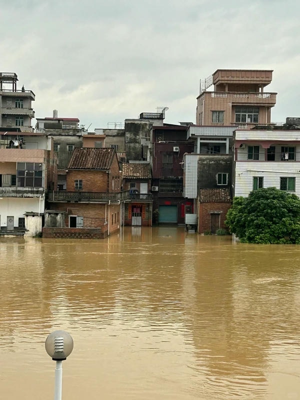 hình ảnh lũ lụt 19