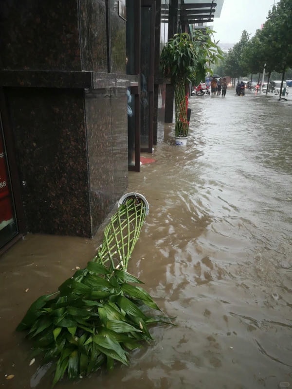 hình ảnh lũ lụt 21