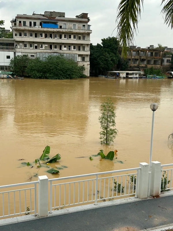 hình ảnh lũ lụt 27