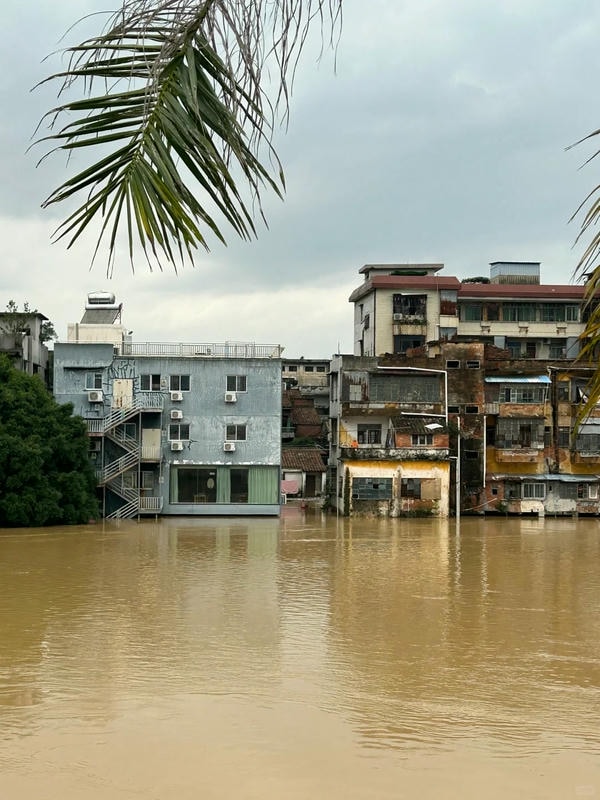 hình ảnh lũ lụt 29